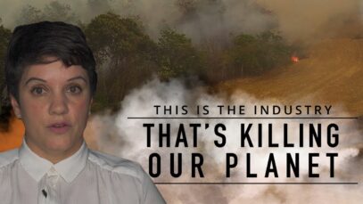 This Is The Industry That's Killing Our Planet