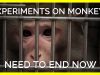 Torturing and Terrifying Monkeys Isn’t Science