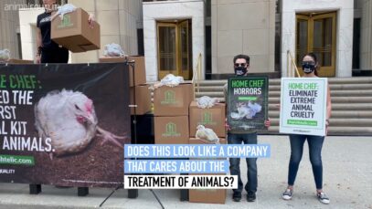 What more will it take, Home Chef?