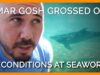 YouTuber Omar Gosh Gets Grossed Out by Conditions at SeaWorld