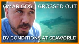 YouTuber Omar Gosh Gets Grossed Out by Conditions at SeaWorld