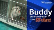 Buddy deserved better than Petland.