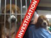 Cruel tests on dogs exposed!