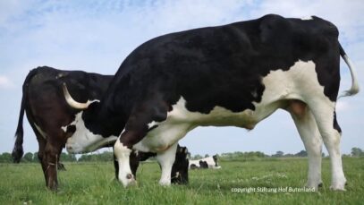 Die Milch macht´s