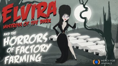 Elvira, Mistress of the Dark, and the Horrors of Factory Farming