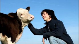 Hof Butenland – Free Calf