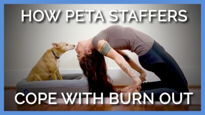 How to Manage Stress and Stay Energized—Because Animals Need You!