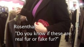 HSUS Fur Investigation: New York City