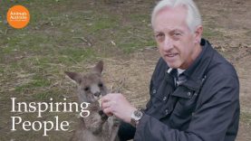 Ian has rescued over 700 Australian wild animals