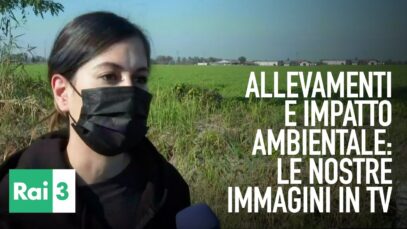 Impatto ambientale degli allevamenti: le nostre immagini su Rai 3