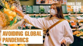 Link between Global Pandemics and Animal Exploitation