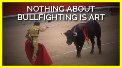 Nothing About Bullfighting Is Art