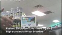 Petland Investigation: Pet Store Sells Puppy Mill Dogs
