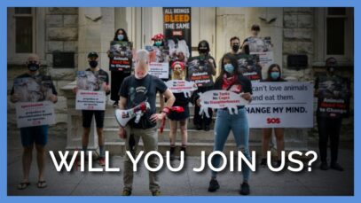 Students Say, ‘No Tanks! No Cages! No Slaughterhouses!’ With Push to End Speciesism