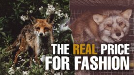 THE DARK TRUTH BEHIND THE FUR INDUSTRY