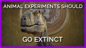 The UN Dinosaur is Speaking Out Against Animal Testing Now