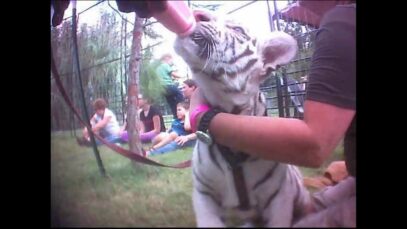 ‘Tiger King’ – Joe Exotic: Undercover Investigation Footage