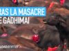 Después de la masacre de Gadhimai