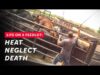 Extreme Meat: Animals Suffer in Extreme Temperatures at Nebraska Feedlot