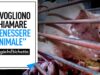 Fermiamo le bugie in etichetta