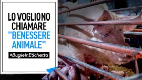 Fermiamo le bugie in etichetta