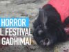 Festival de Gadhimai: El horror de un nuevo sacrificio ritual en Nepal