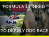 Formula One is Linked to One of the Deadliest Dog Races on Earth