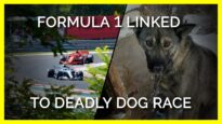Formula One is Linked to One of the Deadliest Dog Races on Earth
