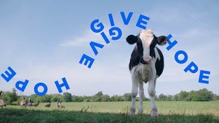 Give Hope: New Challenge Raises Crucial Funds to Help Abused Animals
