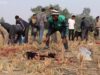 Imágenes inéditas de la masacre de Gadhimai