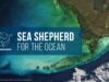 Sea Shepherd: For The Ocean
