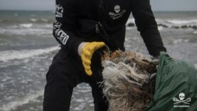 Sea Shepherd is Back in the Baltic Sea