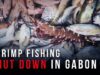 Shrimp Fishing SHUT DOWN in Gabon