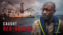 Shrimp Trawler Caught Red-Handed