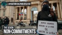 The Seven Non-Commitments of the French Government to Protect Dolphins