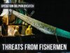 Trawler caught fishing without pingers threatens Sea Shepherd