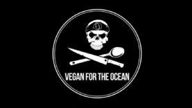 Vegan for the Ocean Recipe Contest