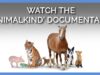 WATCH: Inspiring Book ‘Animalkind’—Now a Documentary!