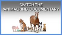 WATCH: Inspiring Book ‘Animalkind’—Now a Documentary!