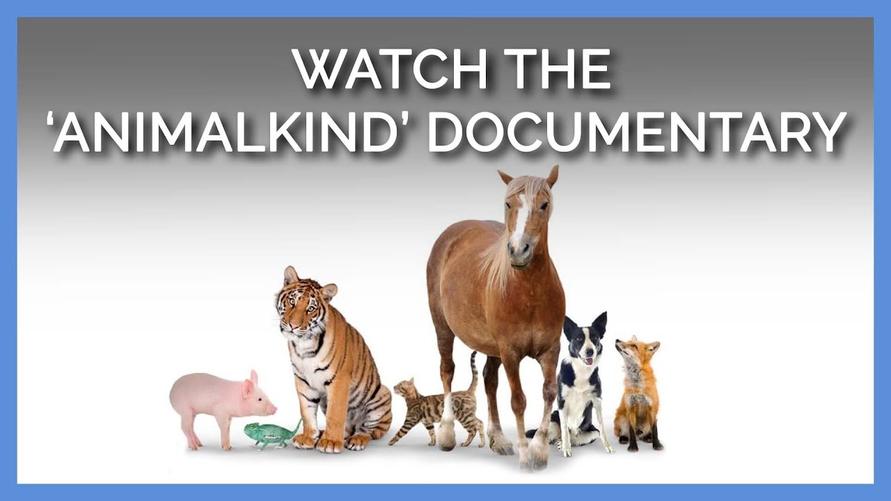 WATCH: Inspiring Book ‘Animalkind’—Now a Documentary! | Laverabestia.org