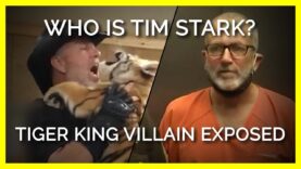 Who Is Tim Stark? ‘Tiger King 2’ Exhibitor Exposé