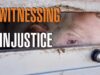 Witnessing Injustice