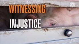 Witnessing Injustice