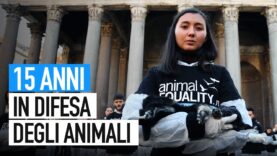 15 anni di lavoro in difesa degli animali: la storia di Animal Equality
