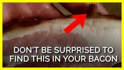 Don’t Be Surprised If You Find This In Your Bacon