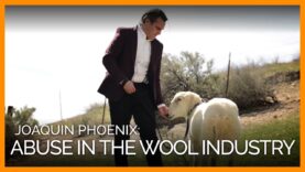 Joaquin Phoenix on Abuse in the Wool Industry and Cruelty-Free Options