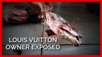 Louis Vuitton Owner Exposed: Workers Bash Pythons in the Head for Leather Bags