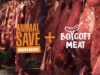 Meatless in Solidarity | Boycott Meat