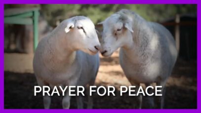Pray for Peace for All