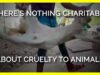 There’s Nothing Charitable About Cruelty to Animals